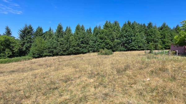 TERRAIN 8875M² - ENVIRONNEMENT CAMPAGNE