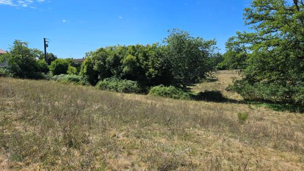 TERRAIN 8875M² - ENVIRONNEMENT CAMPAGNE