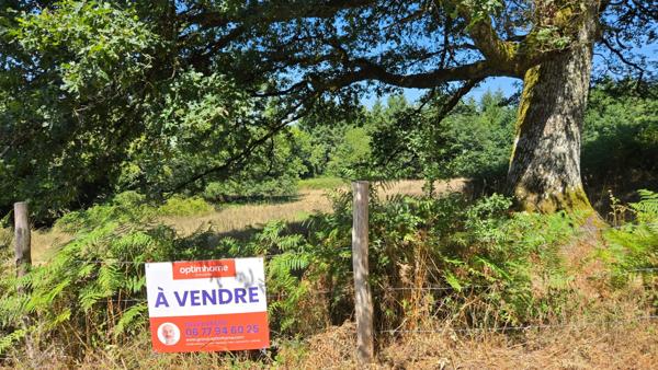 TERRAIN 8875M² - ENVIRONNEMENT CAMPAGNE