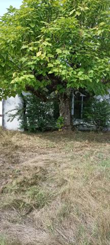 CAUDERAN PROCHE CAPEYRON - MAISON A REPENSER SUR TERRAIN DE
