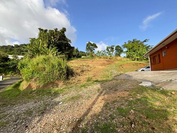 Terrain Gourbeyre - Vue mer - 1111 m2