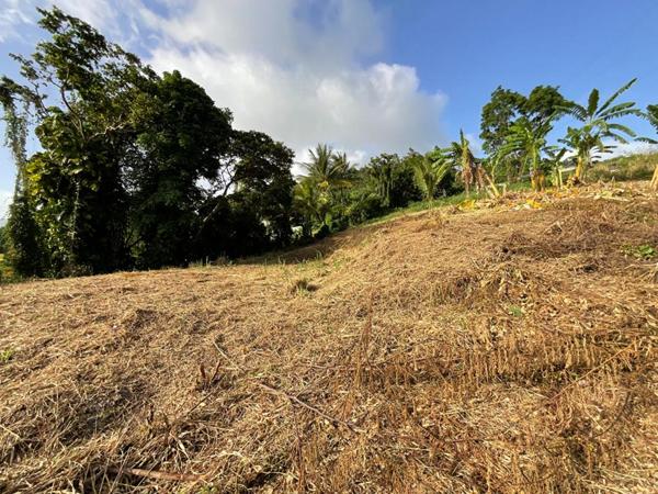 Terrain Gourbeyre - Vue mer - 1111 m2