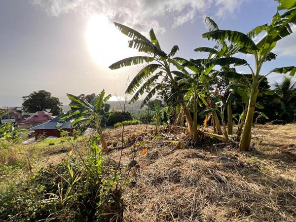 Terrain Gourbeyre - Vue mer - 1111 m2