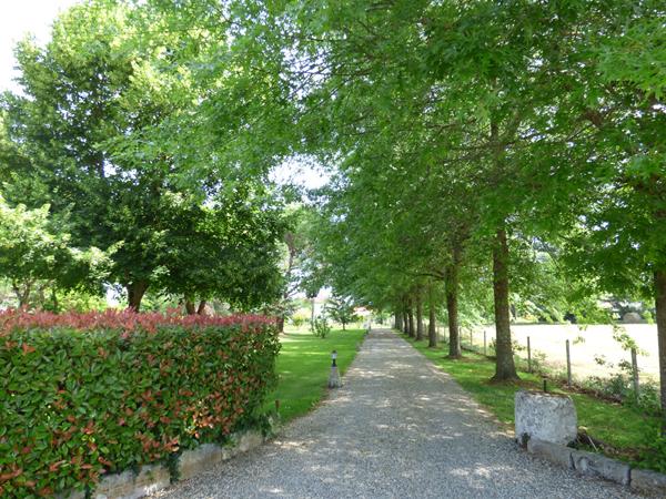 A vendre à Sainte-Livrade (LOT-ET-GARONNE 47) belle villa avec piscine