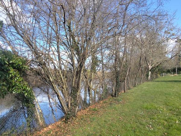 MAISON DE PLAIN PIED - PARC - BORD RIVIERE - RARE