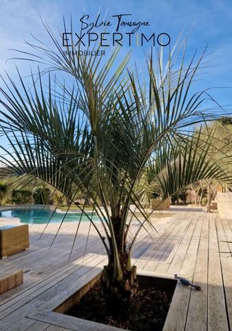 Saint-Gély-du-Fesc (34980) Propriété avec maison de 6 pièces sur un grand terrain.