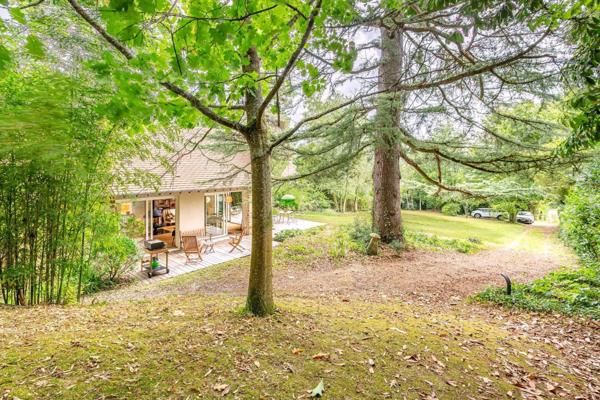 Lumière, lignes pures et sérénité – Une œuvre contemporaine signée nature