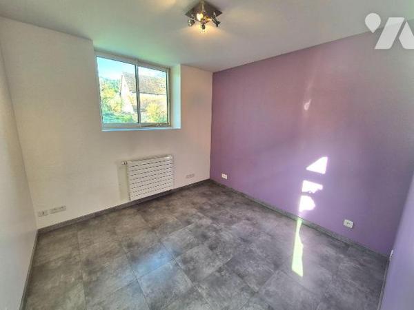 A Gyé Sur Seine, village viticole en champagne, venez découvrir cette magnifique maison de Maît...