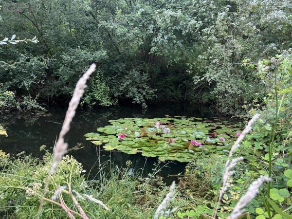 Maison à vendre à Saint-Agathon dans les Côtes-d'Armor (22200), ref : 22064-1315