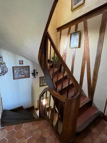 Elégante dans son parc