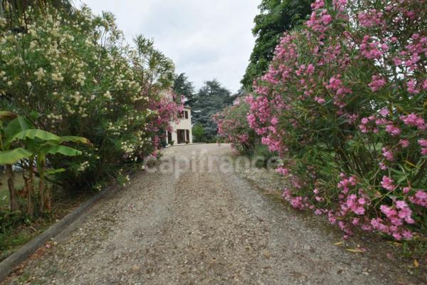 Maison 4 chambres, 1 bureau, dépendances, terrain clos 22694m2 à MEILHAN SUR GARONNE (47)