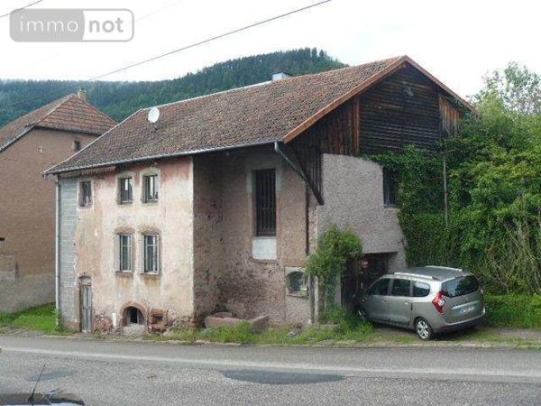 Maison à restaurer à vendre à Raon-sur-Plaine dans les Vosges (88110), ref : 88012-2185