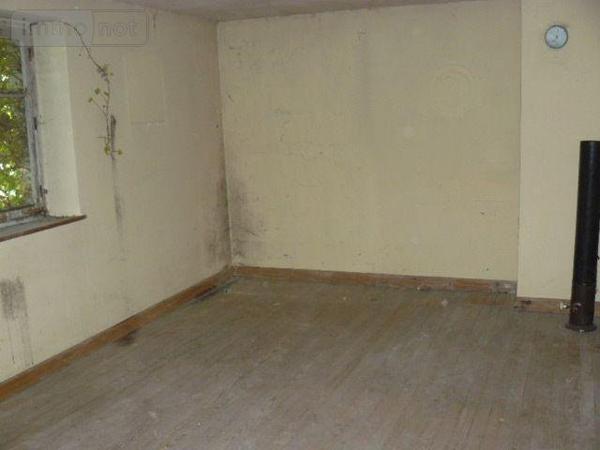 Maison à restaurer à vendre à Raon-sur-Plaine dans les Vosges (88110), ref : 88012-2185