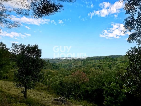 15 mon Carcassonne - Villa 190 m², 7 pièces, piscine sur 1,5 hectares