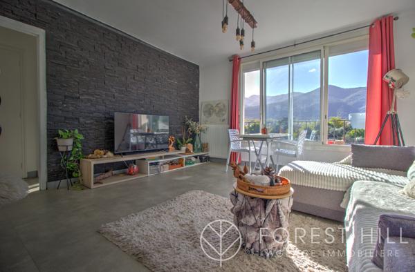 Céret (66400) Appartement F3 Lumineux