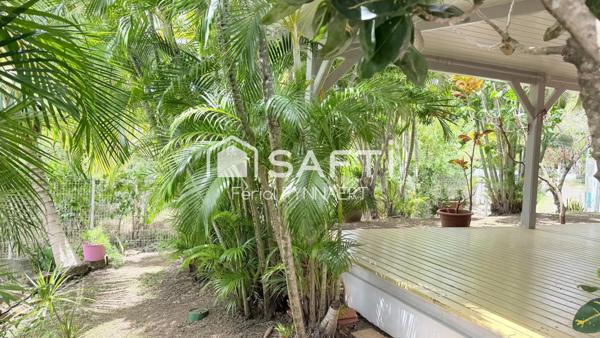 Maison cosy, plage Club Med à pied