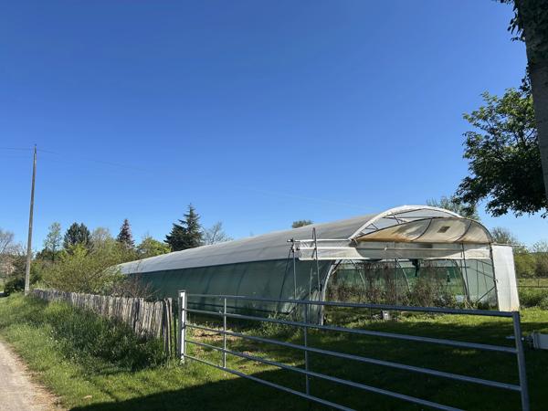 Projet de maraîchage en bord du Tarn sur 1,5 ha avec maison de campagne, Les Barthes (Tarn-et-Garonne)