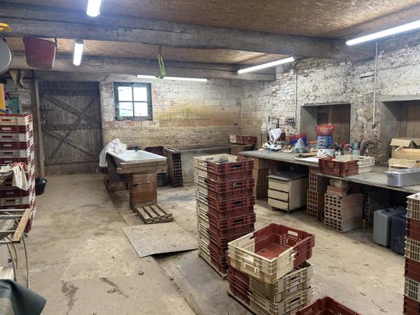 Projet de maraîchage en bord du Tarn sur 1,5 ha avec maison de campagne, Les Barthes (Tarn-et-Garonne)