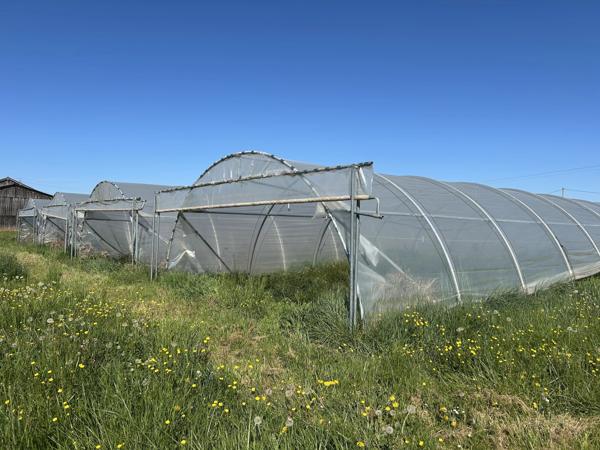 Projet de maraîchage en bord du Tarn sur 1,5 ha avec maison de campagne, Les Barthes (Tarn-et-Garonne)