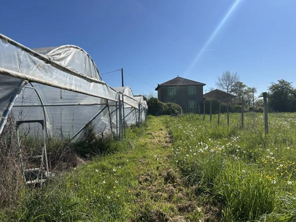 Projet de maraîchage en bord du Tarn sur 1,5 ha avec maison de campagne, Les Barthes (Tarn-et-Garonne)