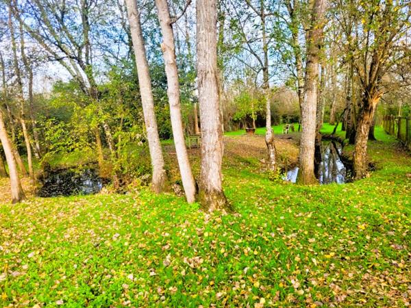 Maison à JONZAC (17500)