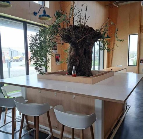 À Vendre – Local Commercial Exceptionnel en Zone Artisanale