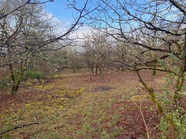 Terrain à Batir à vendre à Lalbenque dans le Lot (46230), ref : 009/1704