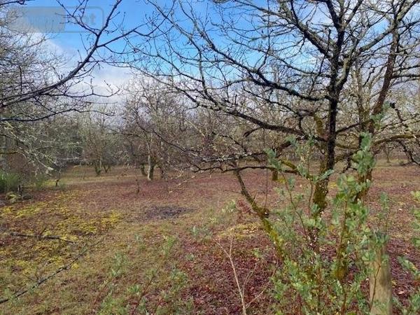 Terrain à Batir à vendre à Lalbenque dans le Lot (46230), ref : 009/1704