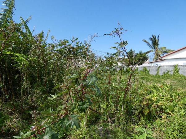 97470 Saint Benoit terrain constructible 511 m2 en zone Ua13