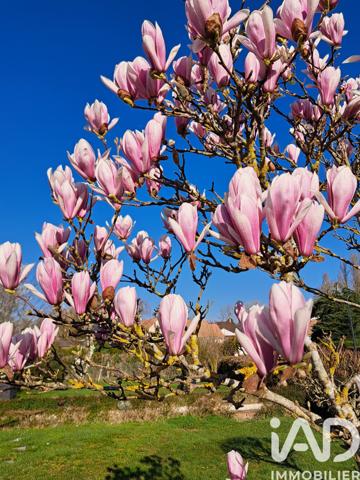 Maison à vendre 7 pièces 128 m² Yvré-l'Évêque