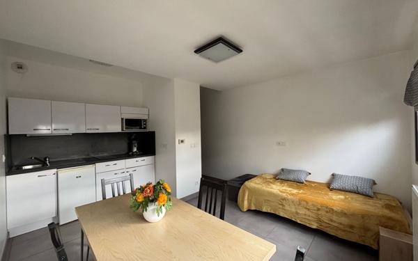 Appartement à louer    1 pièce • 24,60 m2 Villeurbanne