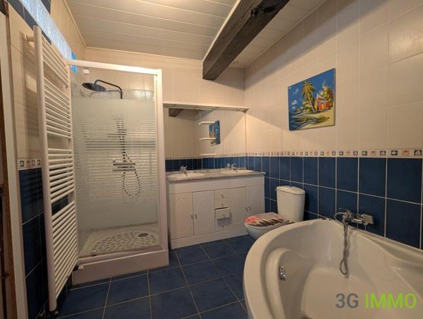 Vente / Maison en pierre