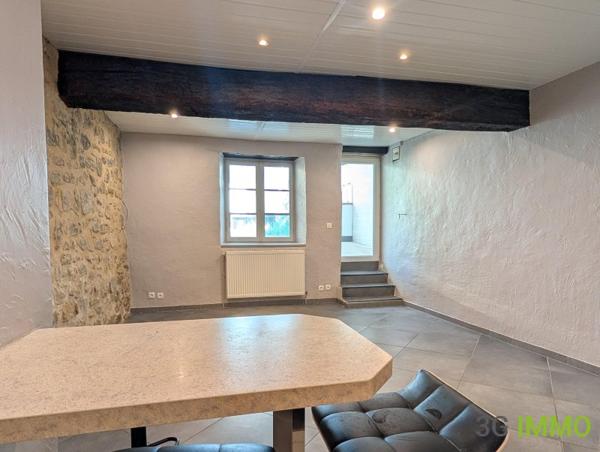 Vente / Maison en pierre