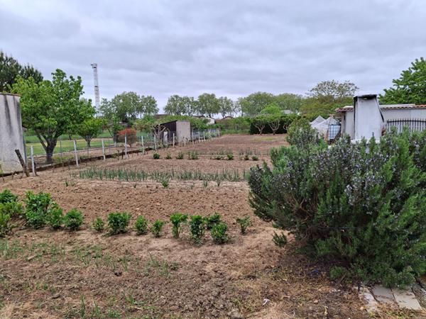 Achat maison Gaillac - 6 pièce(s) - 130 m² - 318 000 €