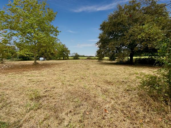 Dpt Gers (32), à vendre BARCELONNE DU GERS maison P6 de 156m² habitables + grand sous-sol et garage de 106 m² sur 3560m² de terrain