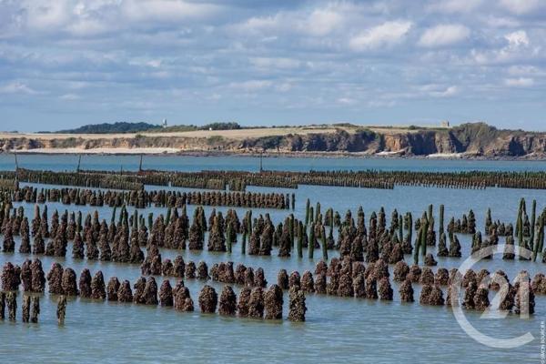 Appartement T2 à vendre  2 pièces - 38,74 m2 PENESTIN - 56