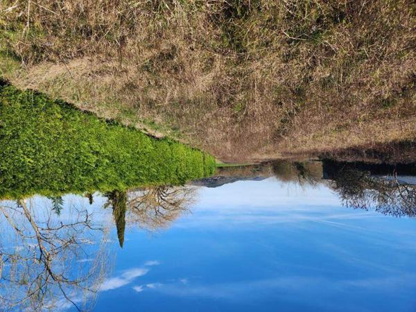 Terrain à vendre |  Coutens |  2201 m²