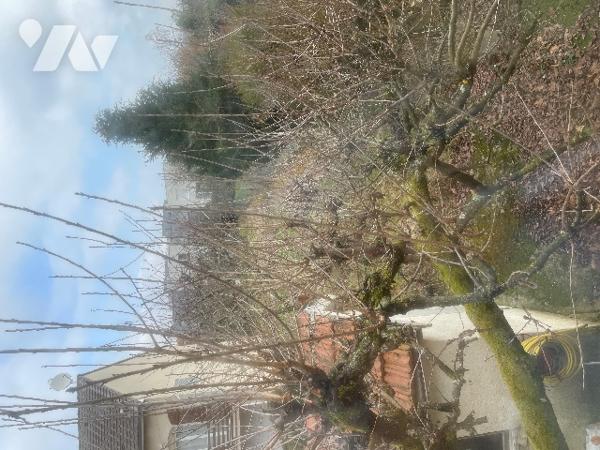 Maison individuelle avec garage, jardin et jardinet.