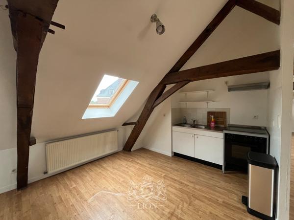 ZYF - Vieux Lille - Appartement type 3