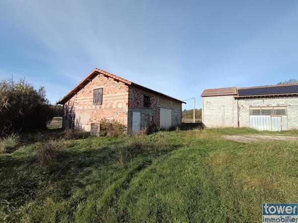 Orgueil - Maison 5 chambres 164 m² - garage 80 m² - hangar 120 m² - hangar 200 m² - terrain 38 000 m² - Lac