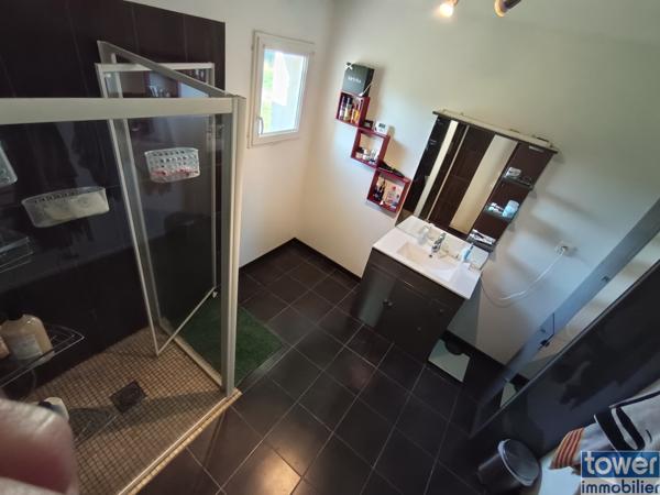 Orgueil - Maison 5 chambres 164 m² - garage 80 m² - hangar 120 m² - hangar 200 m² - terrain 38 000 m² - Lac