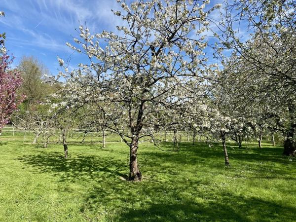 Vente Maison 7 pièces 199 m2 à La Chartre-sur-le-Loir