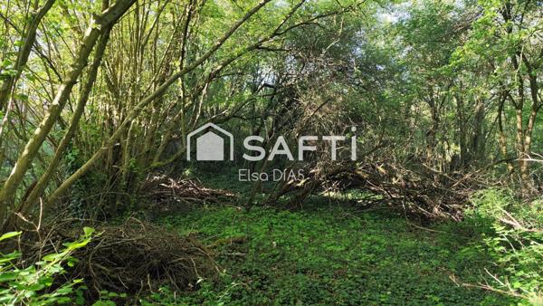 Terrain verger avec bois exploitable