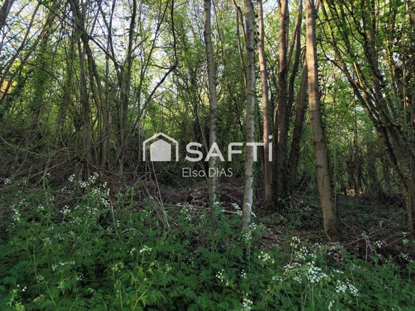 Terrain verger avec bois exploitable