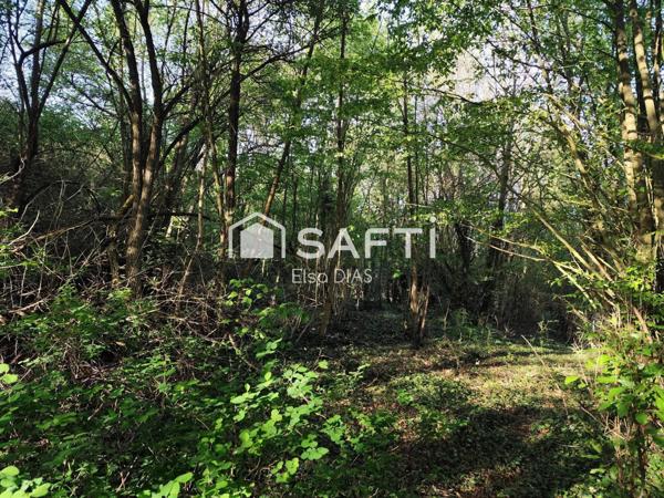 Terrain verger avec bois exploitable