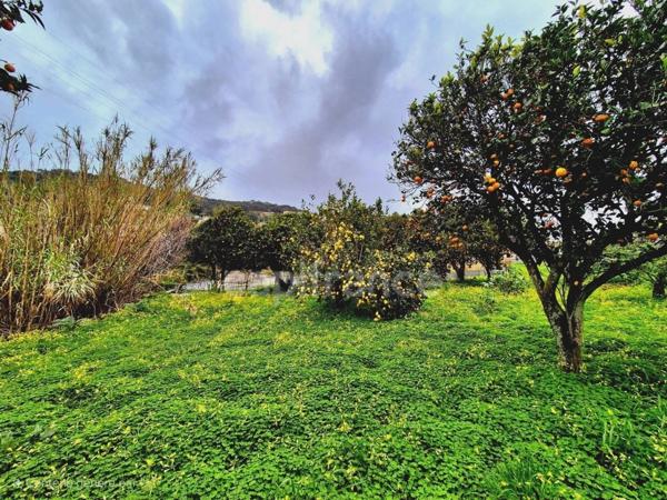 Terrain à vendre constructible - Bastia - Haute Corse - proche du centre ville