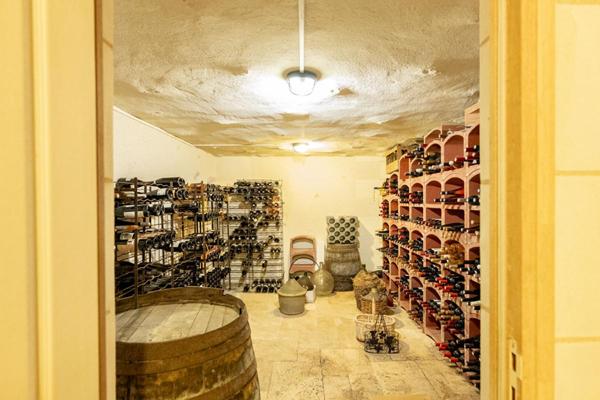 LIEUX UNIQUES ® PROPRIÉTÉS PRIVÉES PROPOSE TRÈS JOLI BÂTISSE-MOULIN DE 240 M² À BLÉRÉ (37) SUR 2.90 HA