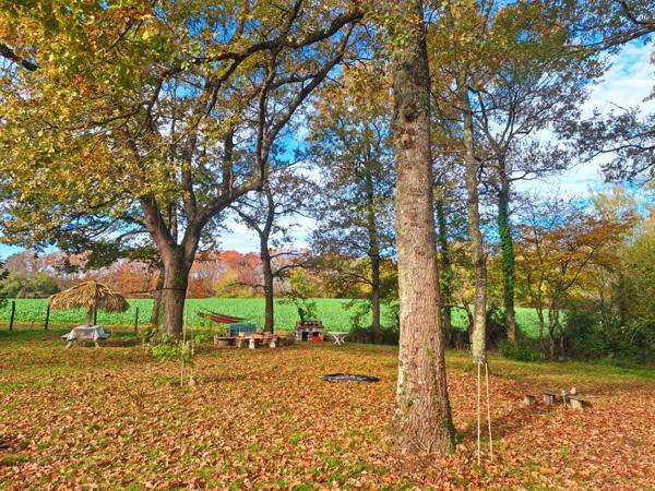 Maison à vendre 9 pièces LE HOUGA (32) - 250 m2 de surface habitable - 16183 m2 de terrain