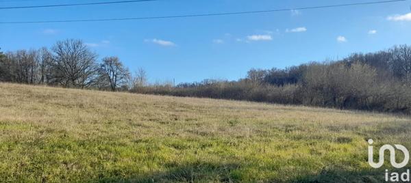 Terrain à vendre 24 000 m² Pont-du-Casse