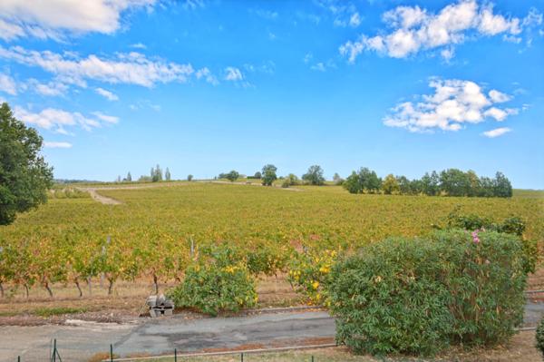 Commerce à vendre à Duras (47120) - Lot-et-Garonne